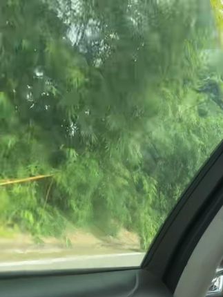 厨房抹布吸水吸油去污洗碗擦碗布加厚款强吸水布去污洗碗百洁布 厨房强洗水抹布 吸水吸油去污洗碗擦碗布 加厚款强吸水布 #厨房强洗水抹布 #吸水吸油去污洗碗擦碗布 #加厚款强吸水布 #去污洗碗百洁布 #厨房抹布干湿两用