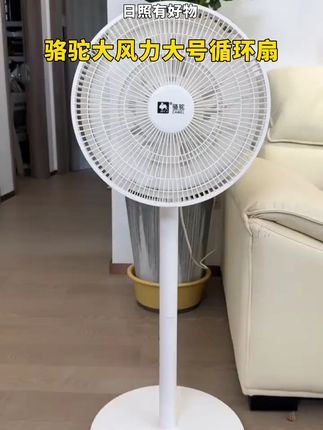 #电风扇 #风扇家用静音风力大超大 #夏季必备 #超便宜超划算 #厂家直发品质保证