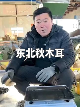 东北秋木耳500g/袋碗耳无根无沙肉嘎嘎厚 s