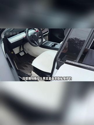特斯拉上其实是有隐私保护的! 一些重要的证件就可以放在里面,这个位置特别隐蔽,而且用起来特别方便! #特斯拉 #特斯拉model3 #特斯拉modely #特斯拉扶手箱隐私储物盒 #天选特斯拉车主