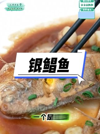 银鲳鱼 #纯色本味 #舟山鲳鱼 #白鲳鱼 #银鲳 #鱼鲳鱼