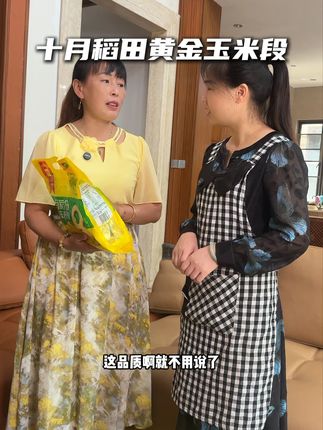十月稻田黄金玉米段 #玉米