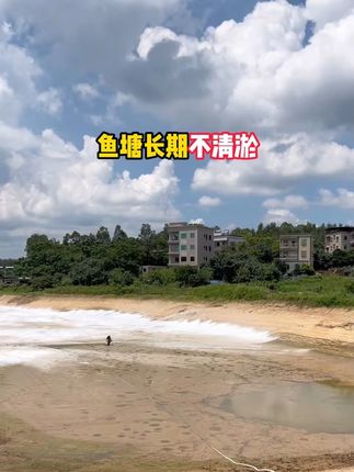 #水产养殖 水质发黑发臭,油膜气泡多。试试这款活的复合芽孢杆菌,免发酵免扩培,直接扔。#鱼虾蟹养殖 #枯草芽孢杆菌