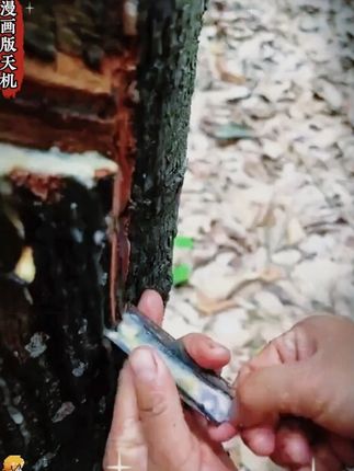 这才是孩子爱看的漫画书《漫画版天机》,教会孩了解决生活当中遇到的问题#教育孩子就要从小开始#育儿经验分享#为人处世人情世故#这才是孩子爱看的漫画#漫画天机