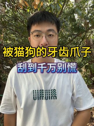 被猫狗的牙齿爪子刮到千万别慌 #养狗经验分享 #新手养狗 #养狗人 #狂犬病 #狗狗健康