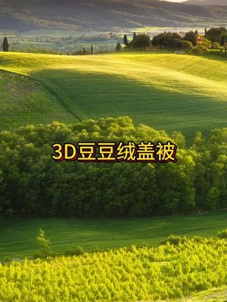 快快快、趁便宜反季买豆豆绒大厚被子,柔软又舒适,简直太值了!#质量杠杠滴 #被子 #厚被子 #豆豆绒 #超便宜