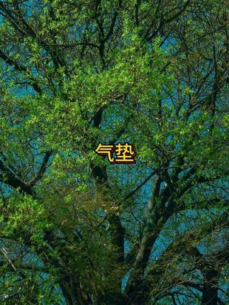 夹出根根分明的太阳花睫毛的秘诀竟然是这个无边框梳齿睫毛夹!一步到位根根分明!#太阳花睫毛 #睫毛夹#中秋月饼开吃啦 #在抖音入手的好东西#男士神仙单品