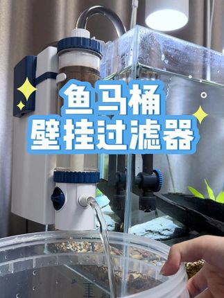 自从用了鱼马桶壁挂过滤,鱼缸水清鱼靓不是梦! #壁挂过滤器 #鱼缸过滤 #鱼马桶 #养鱼日记 #新手养鱼