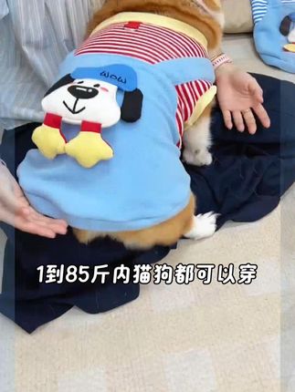 秋冬大狗狗金毛柯基法斗新款宠物衣服饰用品马甲四脚加绒五毛猫咪 #狗狗衣服#  狗狗保暖衣服  #宠物衣服