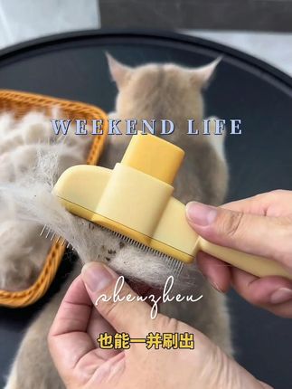 #梳子 #宠物专用 #宠物梳子