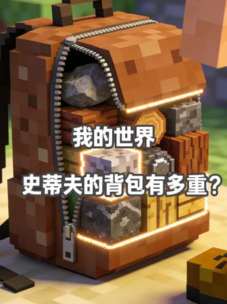 我的世界史蒂夫的背包有多重? 我的世界史蒂夫的背包有多重?#冷知识科普 #李永乐给孩子讲物理 #为每一种未来 #科普知识 #李永乐