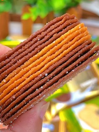 多禧熊薄脆饼干清新椰香味醇香巧克力味小饼干美味网红解馋小零食#薄脆饼干 #网红零食 #椰香饼干 #巧克力饼干 #解馋零食