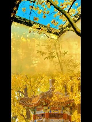 洗车拖把不伤车漆专用刷车刷子汽车弯杆软毛刷可伸缩擦车神器工具