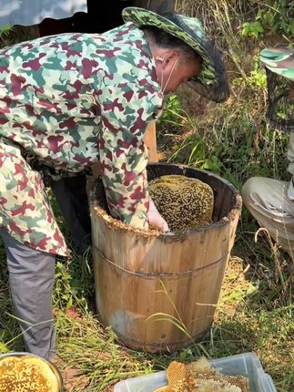 天然土蜂蜜16,快点左下角购物车抢购吧