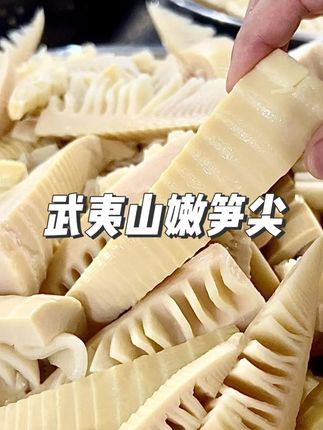 【有机嫩笋尖】武夷山高山制品白玉笋尖火锅新鲜脆嫩炒笋尖 #有机嫩笋尖 #嫩笋 #新鲜嫩笋尖 #嫩笋 #新鲜嫩笋