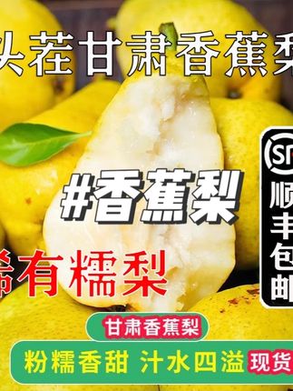 【顺丰次日达】甘肃香蕉梨正宗太婆梨水果新鲜大头梨茄梨软梨啤梨 #甘肃香蕉梨 #香蕉梨 #香蕉梨子 #香蕉梨大丰收 #香蕉梨汁的功效与作用
