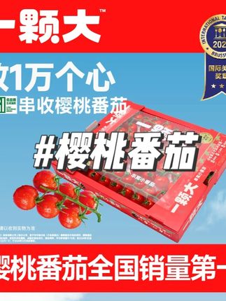 玲珑串樱桃番茄爆浆小西红柿净重1kg#小西红柿 #樱桃番茄 #番茄 #视频同款 #好物推荐