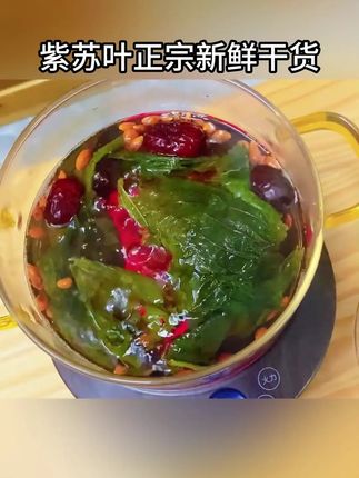 #三伏天 这个时候,#韩明辰 老师推荐给大家#紫苏叶 ,非常适合这个夏天喝。#育儿 #紫苏叶的妙用