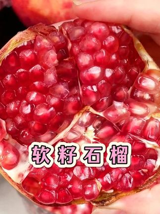 四川会理的软籽石榴,新鲜采摘个大饱满,每颗都晶莹剔透的!爱吃石榴的千万别错过!#水果 #应季水果 #石榴 #软籽石榴 #新鲜采摘