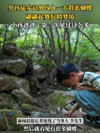 #家纺床上用品 #提高睡眠质量 #好睡眠 #床褥垫 加厚床垫软垫家用床褥垫子被学生宿舍单人租房专用记忆海绵榻榻米#床上用品