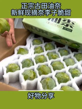 又到了吃油奈的季节了,每一颗都是新鲜采摘,现摘现发,现阶段口感7分甜3分酸,酸甜可口#油奈 #李子  #古田油奈 #好物分享 #新鲜水果