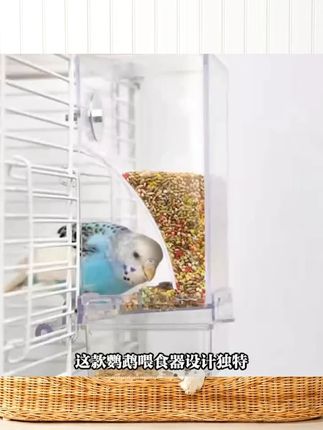 【大容量 防撒防溅】鹦鹉自动喂食器鸟用防撒谷壳分离食盒下料器KJdxl-002 #宠物自动喂食器 #宠物 #宠物用品 #自动喂食器 #养宠物必备