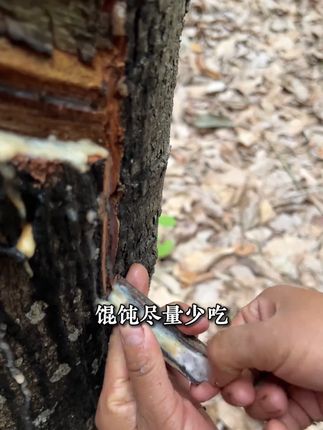 读《寒门诡将》,学古人智慧,让你在为人处世中立于不败之地#寒门诡将 #谋略智慧 #为人处世 #破局思维