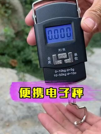 电子称手提秤可称100斤便携式精准家用称重百斤迷你秤克重小型秤#迷你秤 #手提秤 #电子称 #克重称
