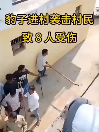 视频