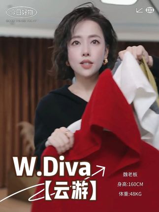 W.Diva【云游】100%绵羊毛罗纹V领连帽羊毛套头衫慵懒风#穿出高级感  #显瘦遮肉  #轻奢女装  #简约穿搭  #时髦精