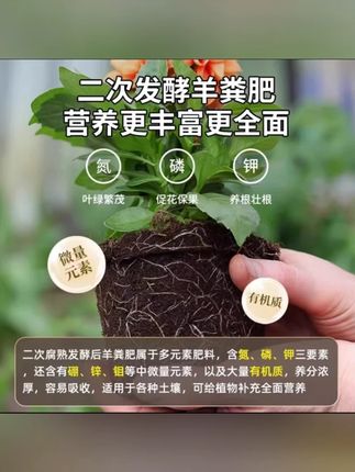 羊粪发酵有机肥花卉蔬菜瓜果专用纯鸡粪种菜养花通用腐熟羊粪肥料#羊粪发酵有机肥 #花卉肥料 #蔬菜肥料 #瓜果肥料 #腐熟羊粪