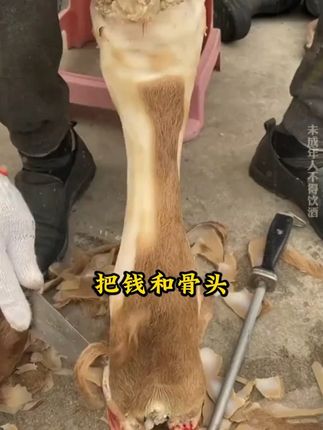 读《寒门诡将》学古人智慧,让你在为人处世中立不败之地! #寒门诡将 #好书分享 #认知觉醒 #谋略智慧
