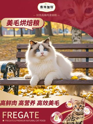 只要它健康陪伴我,便心满意足了!#弗列加特#弗列加特烘焙粮#萌宠出道计划#猫咪#新手养猫