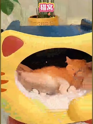 四季可用,防水耐脏宠物猫窝~ 这种耐用的猫窝一定要给毛孩子备一个~#猫窝 #萌宠好物 #宠物窝 #狗窝