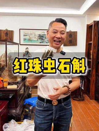 【吴哥推荐】红珠石斛 #吴哥谈滋补 #广东品海堂 #滋补 #养生 #石斛