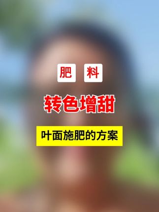 转色增甜,叶面施肥的方案!