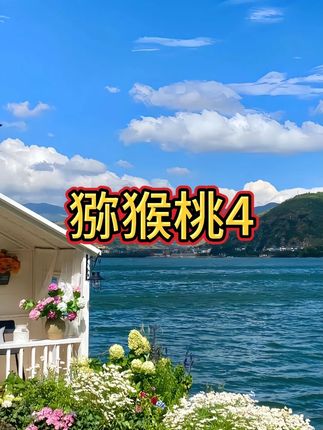 等了一年的软枣猕猴桃终于上市了!软糯香甜一口爆汁,果香味超浓郁,真的好好吃啊#软枣猕猴桃 #新鲜应季水果#软糯香甜#快来一起尝个鲜