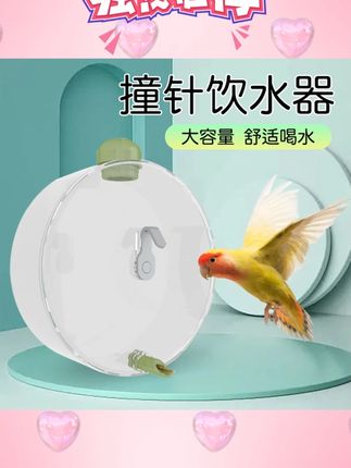 【奇妙妙】鸟用水壶自动饮水器圆形水盆鹦鹉撞针自动喂水器防漏水#鸟用饮水器 #自动喂水器 #宠物用品 #防漏水饮水器 #鸟类护理