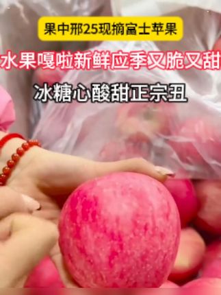 2025年头茬嘎拉苹果 今年的新苹果吃了吗,新鲜嘎拉苹果每天现摘现发,脆甜爽口#新鲜采摘 #快来一起尝个鲜 #嘎拉苹果 #新鲜苹果 #苹果熟了