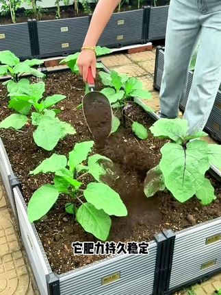 立秋后养花种菜就要施肥了,羊粪肥好帮手,肥力大不烧苗,同时还能改良疏松士壤#羊粪有机肥#羊粪#内蒙古羊粪有机肥#果蔬专用#厂家发货