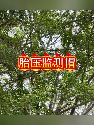 车胎压监测帽轮胎气压盖帽子测压帽气门芯胎压监测器#胎压监测 #汽车用品 #汽车好物 #车用神器 #有车必备