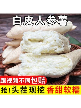 新鲜白皮人参薯白心板栗薯辅食粉面粗粮地瓜红薯#白皮人参薯粉糯香甜 #白皮人参薯 #新鲜白皮人参薯
