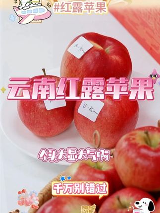 【小荷鲜】云南红露苹果 #苹果 #红露苹果 #水果 #多汁 #好物推荐