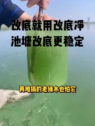 在难搞的老绿水也怕它,再臭的黑泥烂泥也怕它,在难调节的水也怕它#水产养殖 #鱼虾蟹养殖 #三农 #渔德盛 #南美白对虾