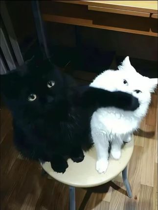 【半亩花田】香氛沐浴露持久留香润肤温和保湿嫩肤WL7