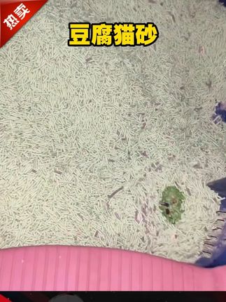 罗永浩推荐#豆腐猫砂 #猫砂 #萌宠好物 #罗永浩 #罗永浩推荐 彩虹豆腐猫砂除臭吸水结团猫咪幼猫混合猫沙清仓10斤20斤