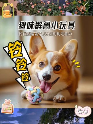 宠物玩具狗狗咬不烂咬不坏磨牙发声铃铛玩具球逗猫宠物球用品 #快乐养宠 #家有萌宠 #宠物用品