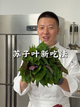 吃了一辈子的苏子叶营养价值竟然超乎想象 韩国人疯抢的苏子叶,中国大妈早吃了几千年!#鸡蛋的神仙吃法 #磷虾肉 #美食教程
