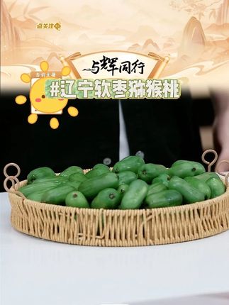 【绿果湾】辽宁软枣猕猴桃 #软枣猕猴桃 #辽宁软枣猕猴桃 #奇异莓 #水果 #好物分享 @DOU+小助手 @DOU+上热门