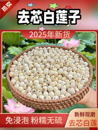 去芯白莲子2025年新货人工采摘干货特产无硫粉糯煲汤结婚好运 #去芯白莲子 #莲子 #好物推荐 #好吃到停不下来 #煲汤 @DOU+上热门 @DOU+小助手